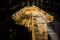 BAB cropped for website